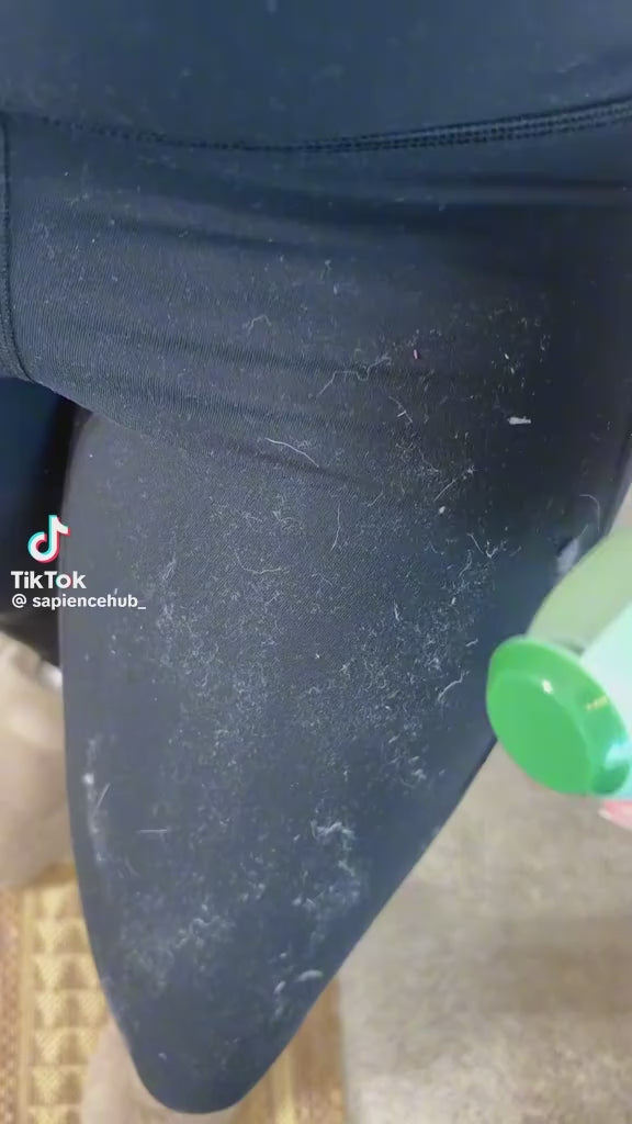 Reusable lint remover